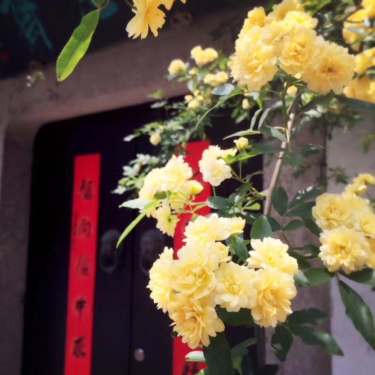 Zuo Wang Zhai Guesthouse Suzhou  Exterior foto